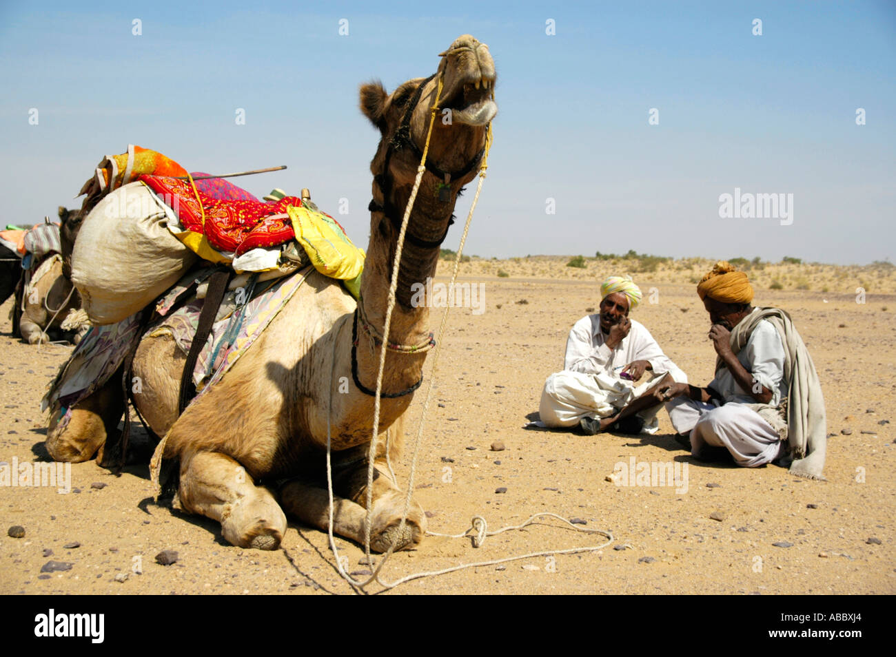 Camel trekking two camel men are sitting in the sand next to a lying