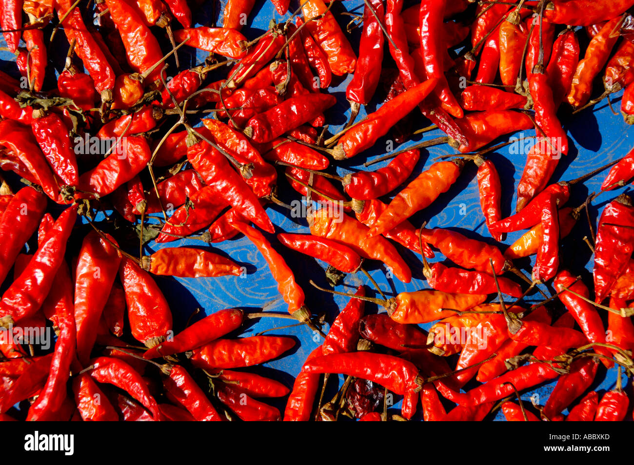 Red hot chili peppers dry in the sun Laos Stock Photo - Alamy