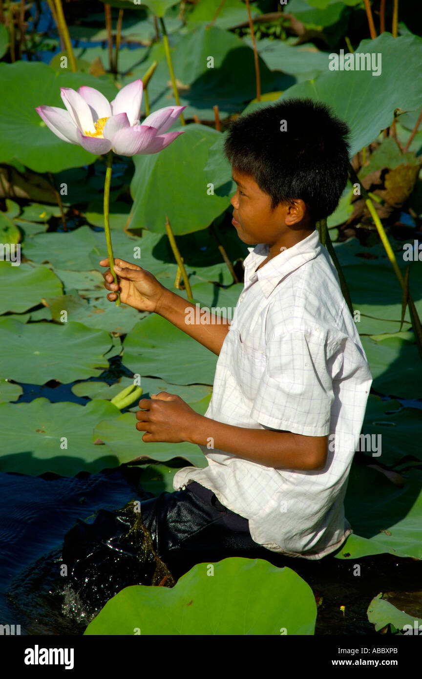 Khmer boy carries lotus flower through water near Kompong Thom Cambodia Stock Photo
