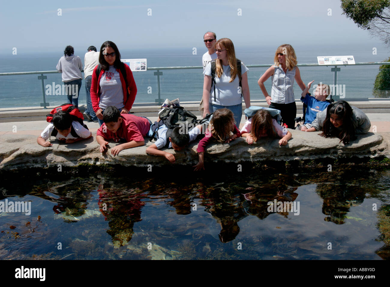 Birch Aquarium At Scripps La Jolla California SD Stock Photo Alamy
