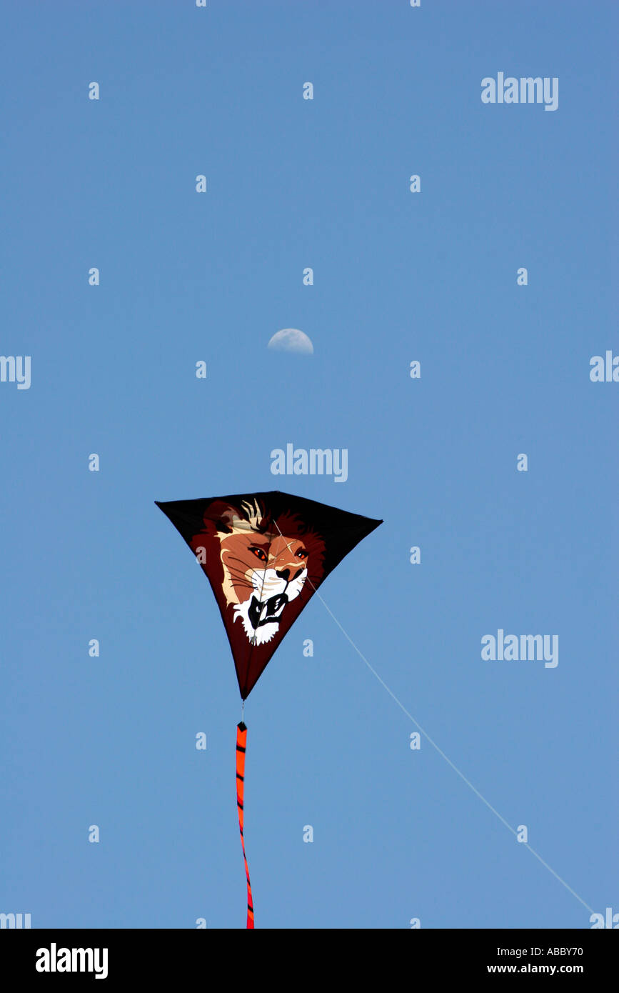 Mission Bay Park Kite Flying San Diego California SD Stock Photo Alamy