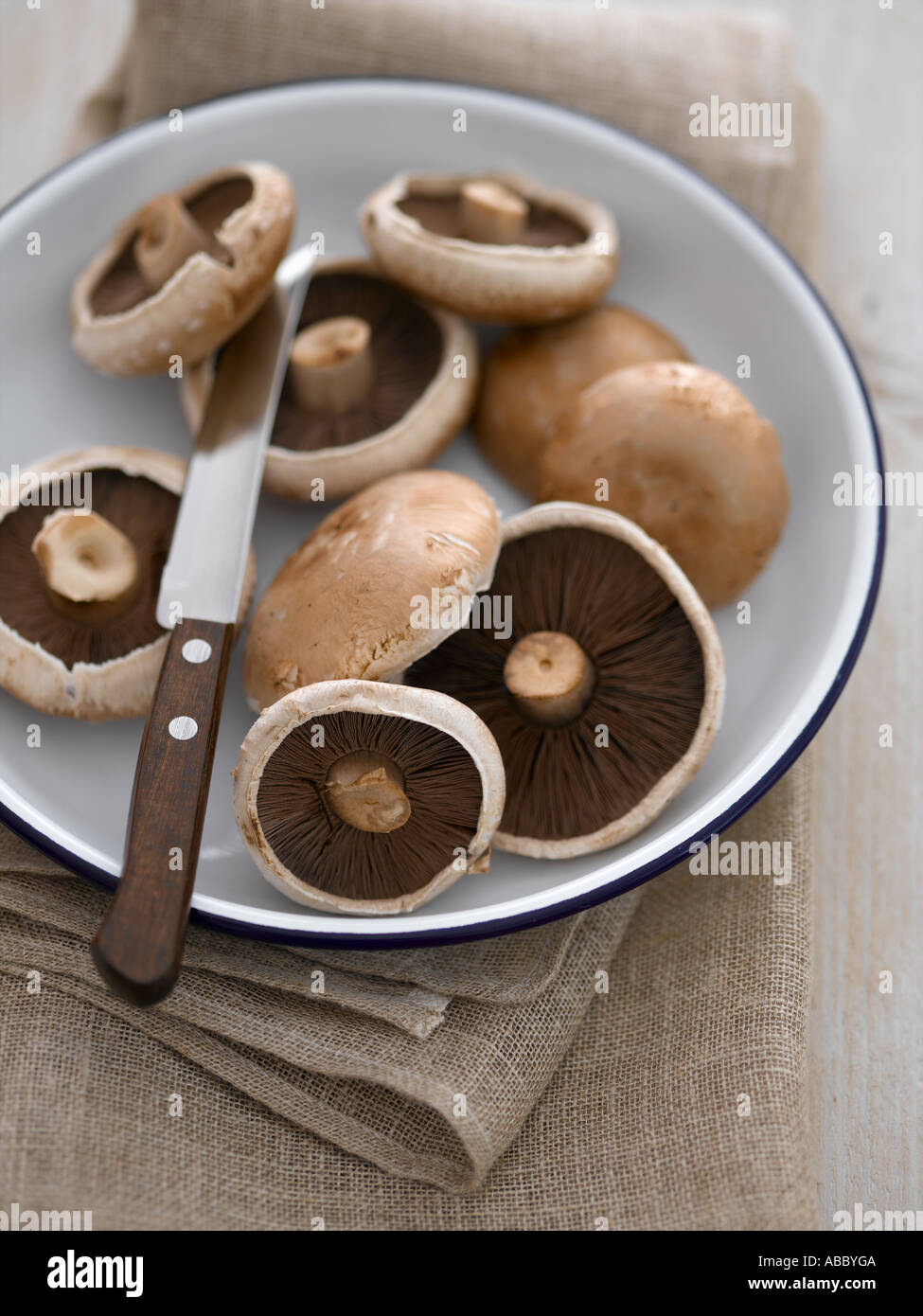 Plate of large flat mushrooms - high end Hasselblad 61mb digital image Stock Photo