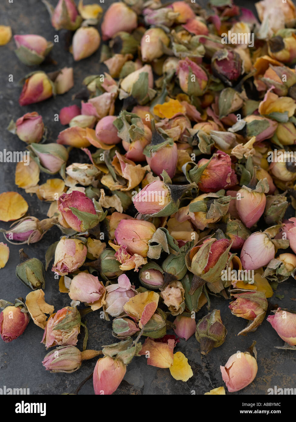 Dried rosebuds shot with Hasselblad medium format digital Stock Photo