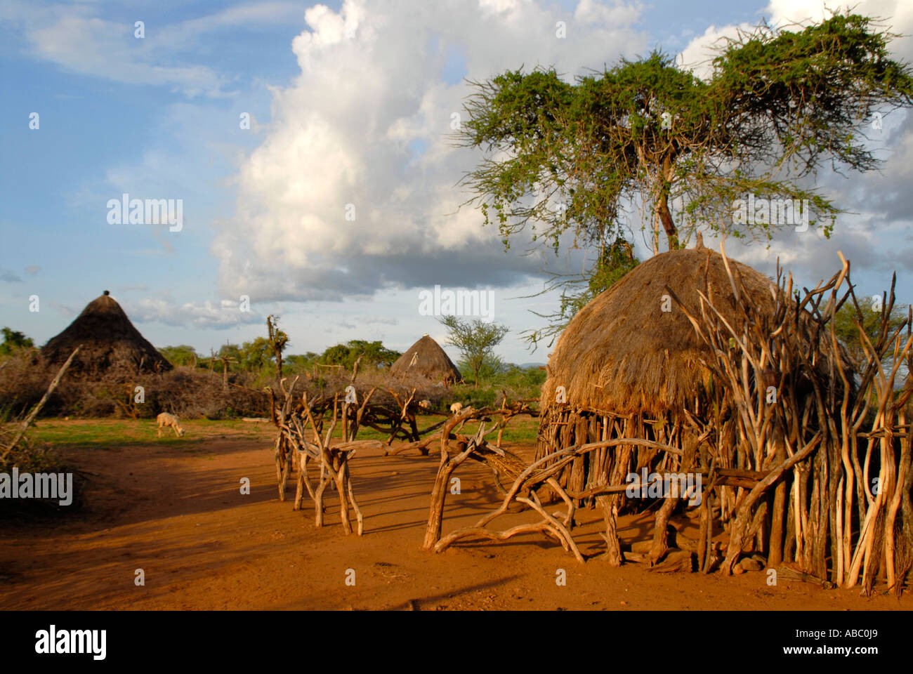 Aboriginal Hamar village in the savannah near Turmi Ethiopia Stock Photo