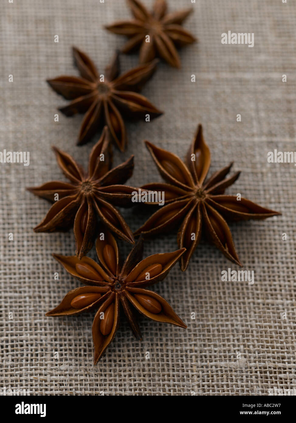 Satr anise - high end Hasselblad 61mb digital image Stock Photo