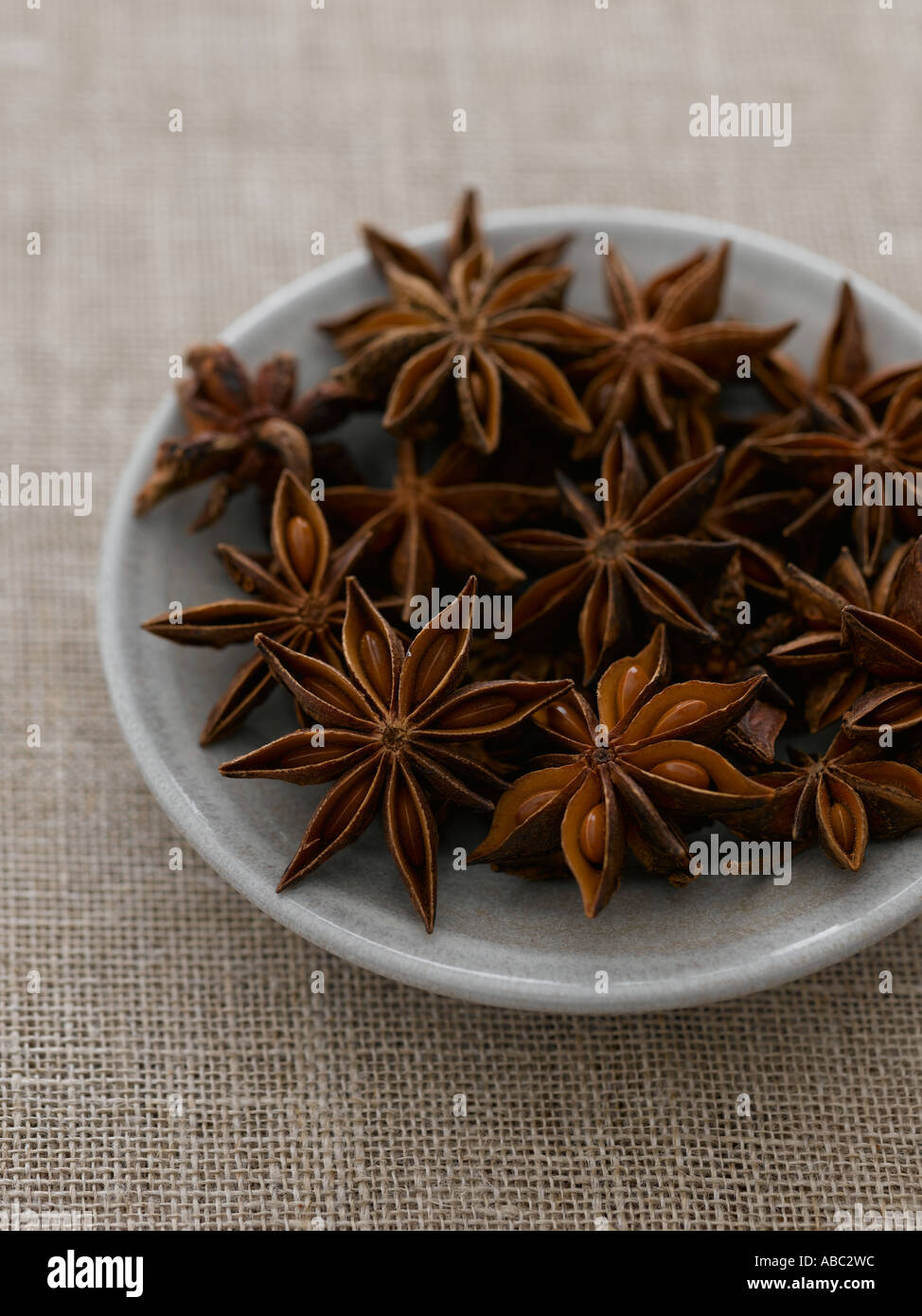 Star anise - high end Hasselblad 61mb digital image Stock Photo