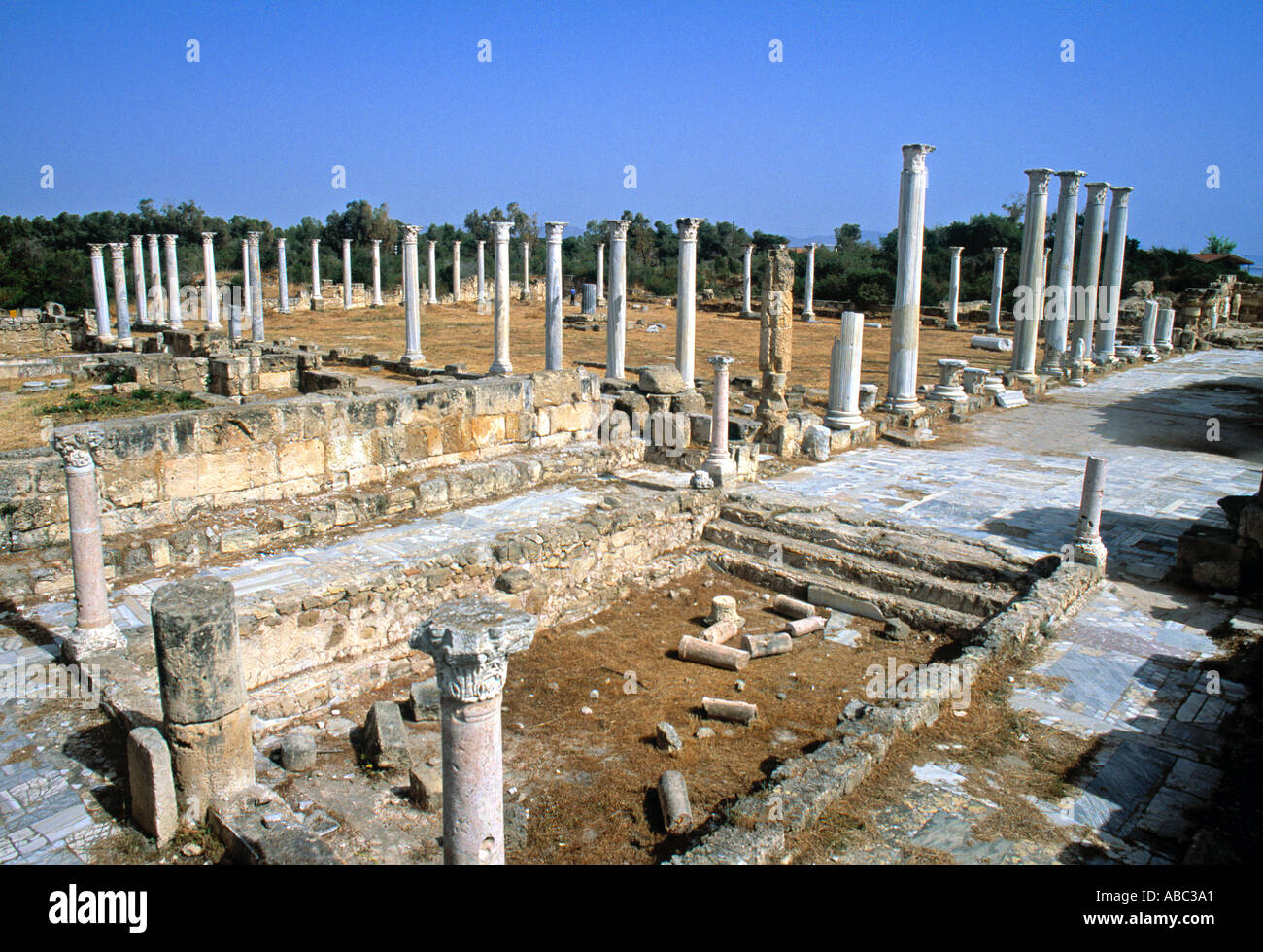 Ancient Ruins, Salamis, Northern Cyprus Stock Photo 770977 Alamy