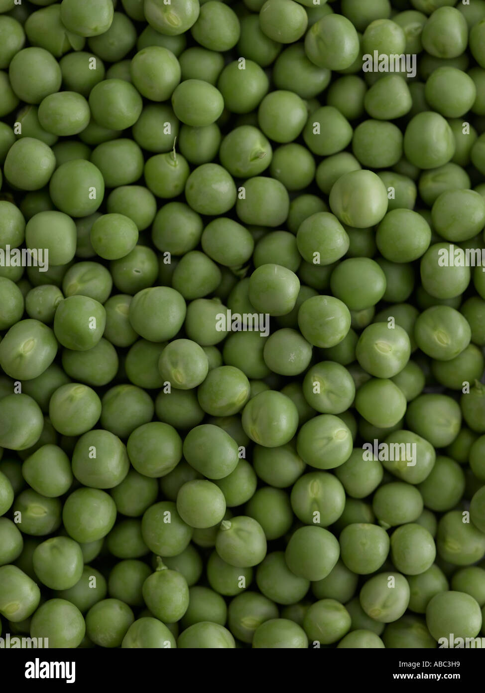 Close up of fresh peas - high end Hasselblad 61mb digital image Stock Photo