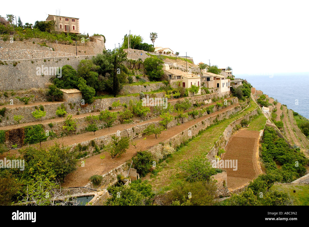 Majorcan Hillside Terraces Stock Photo
