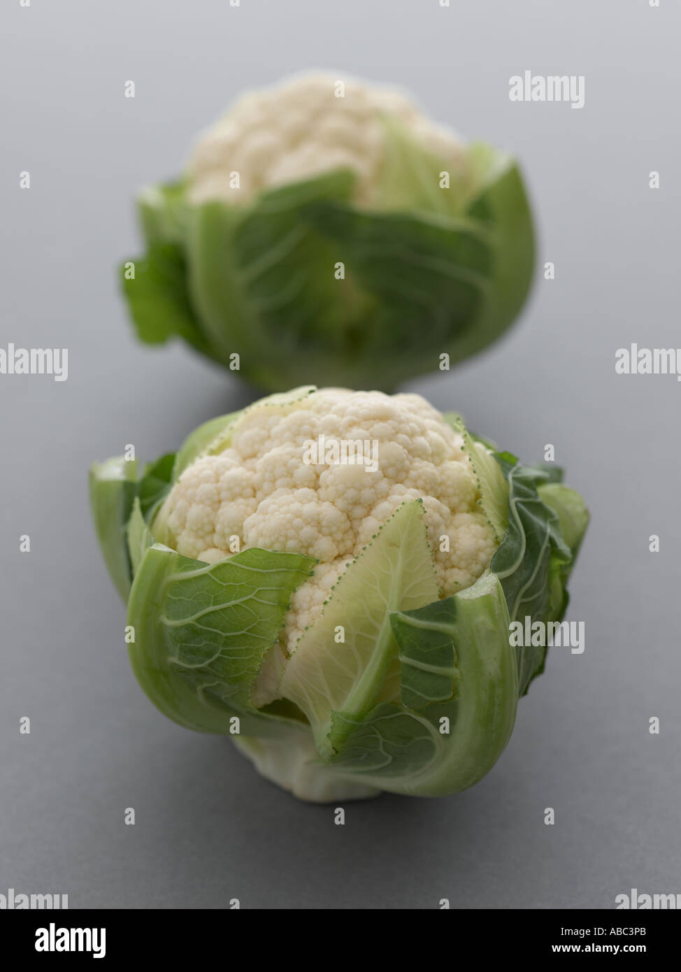 Cauliflowers on grey background Stock Photo