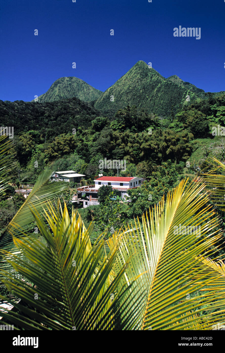 Pitons du Carbet, Balata, Martinique, French West Indies Stock Photo
