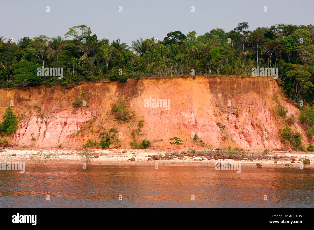 Soil profile Laterite soil under tropical rain forest South America Stock Photo