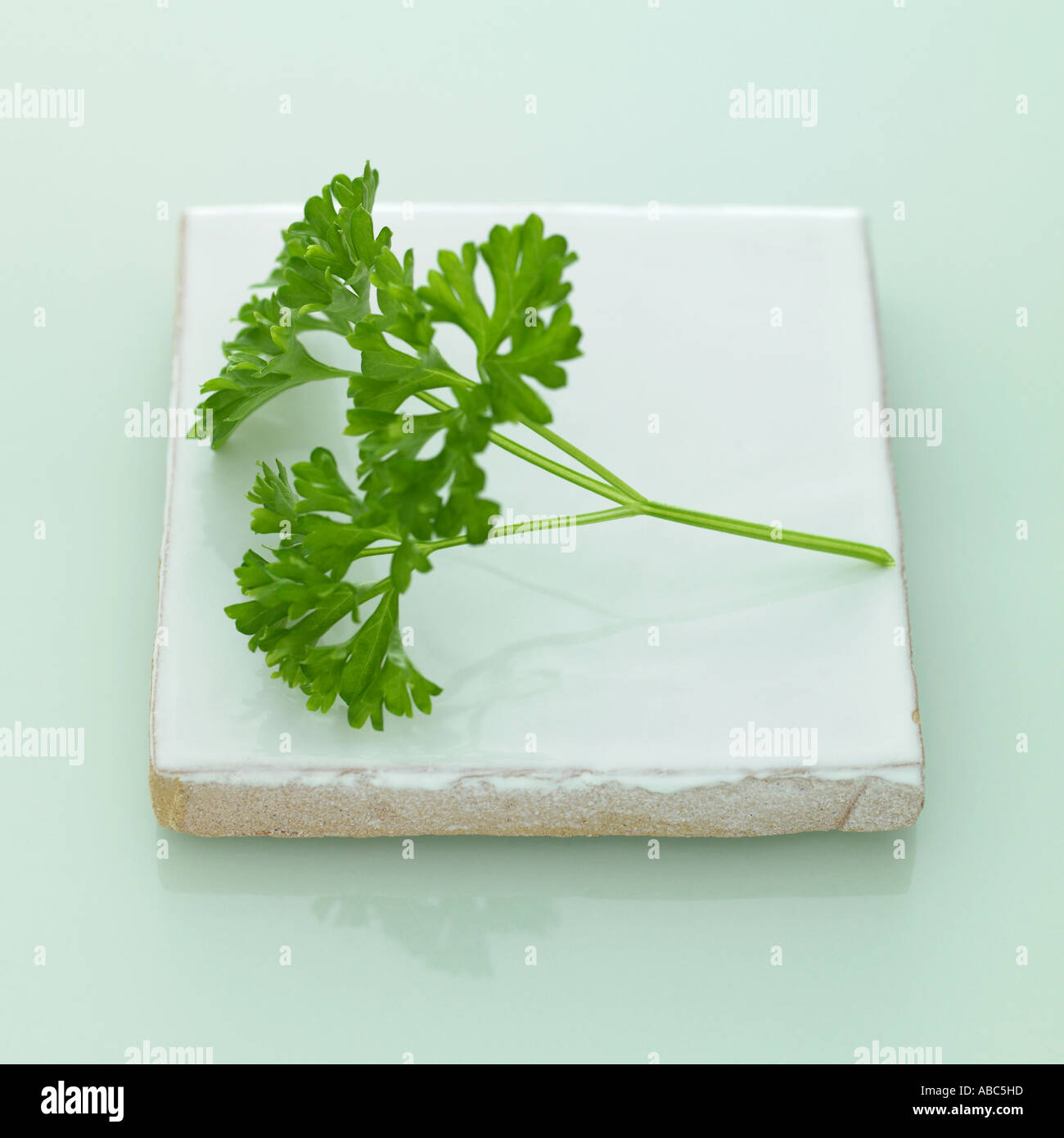Parsley one of a series of similar herb images Stock Photo Alamy