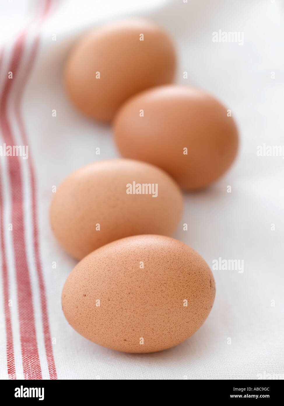 Eggs shot with Hasselblad medium format pro digital Stock Photo