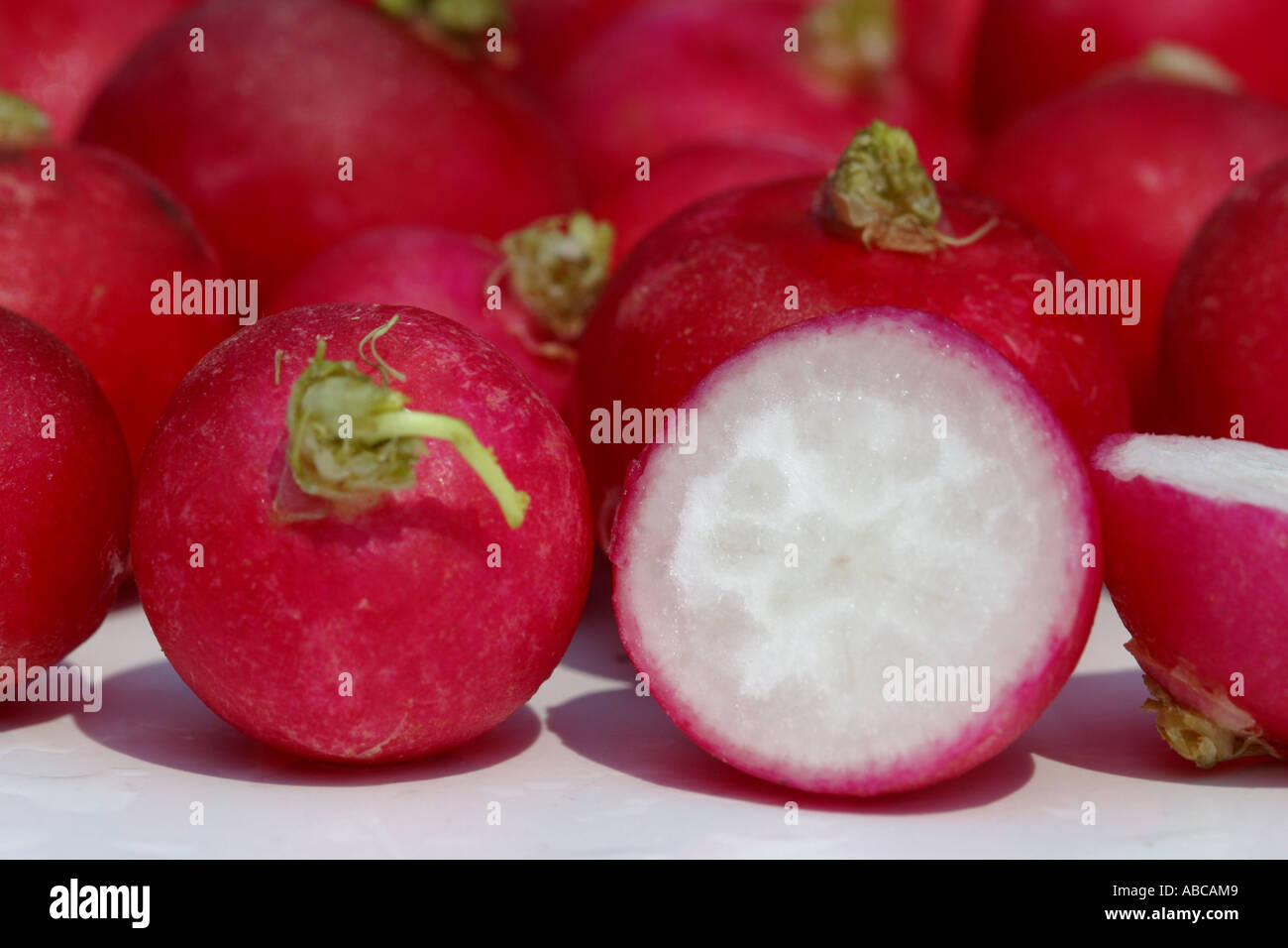 Radishes Stock Photo