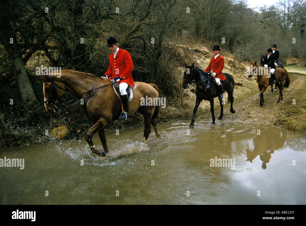 Hunting with Hhounds The Vale of White Horse Fox  hunt. Gloucestershire England 1980s 1985 UK HOMER SYKES Stock Photo