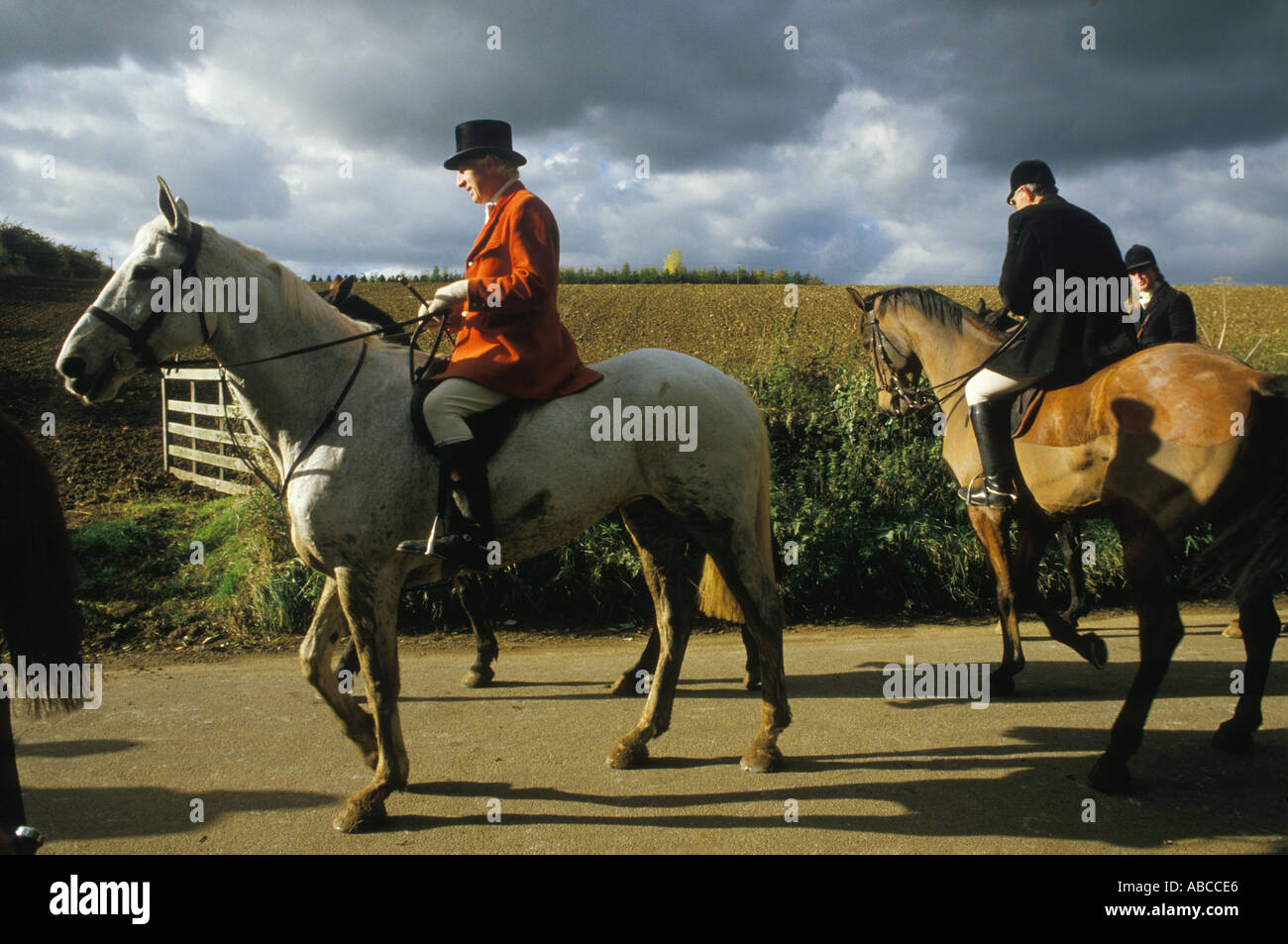 The Vale of White Horse. Gloucestershire England hunters return   at the end of a days hunting. 1980s 1985 UK HOMER SYKES. Stock Photo