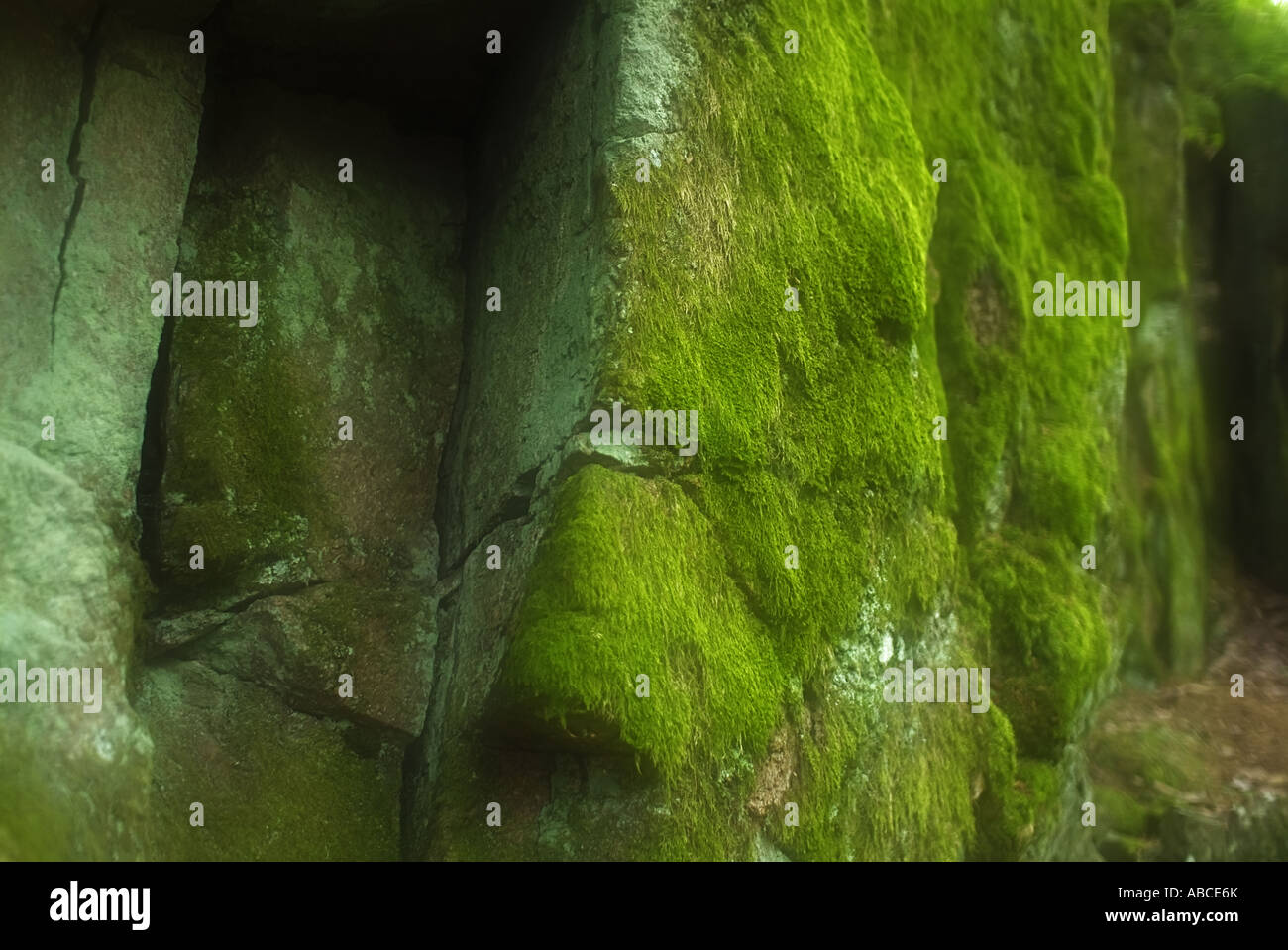 mossy rocks, double exposure Stock Photo