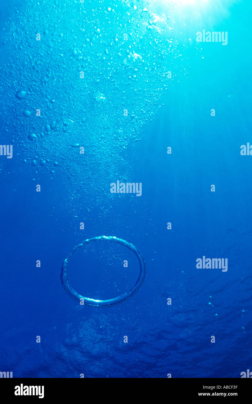 Air bubbles in sea Stock Photo Alamy