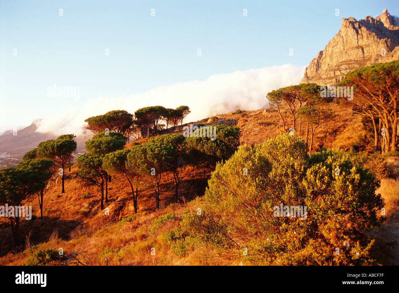 African landscape Stock Photo