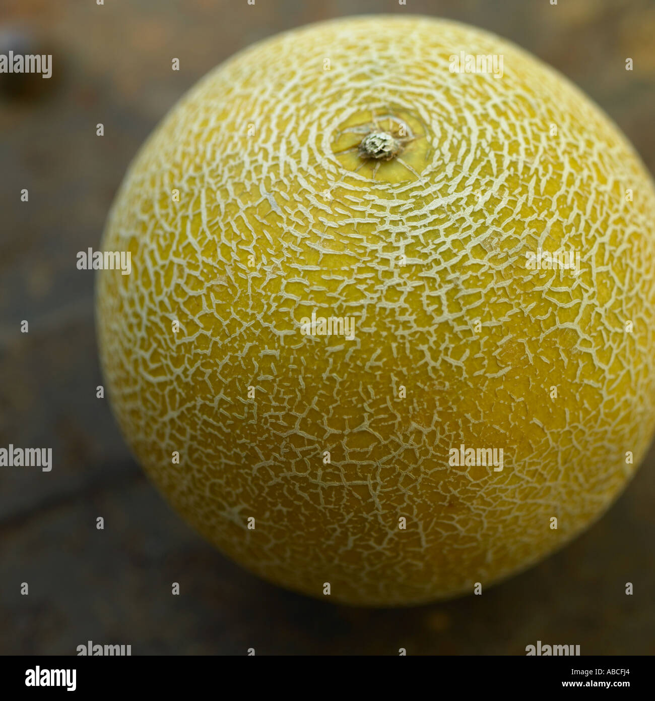 Galia melon on dark background Stock Photo
