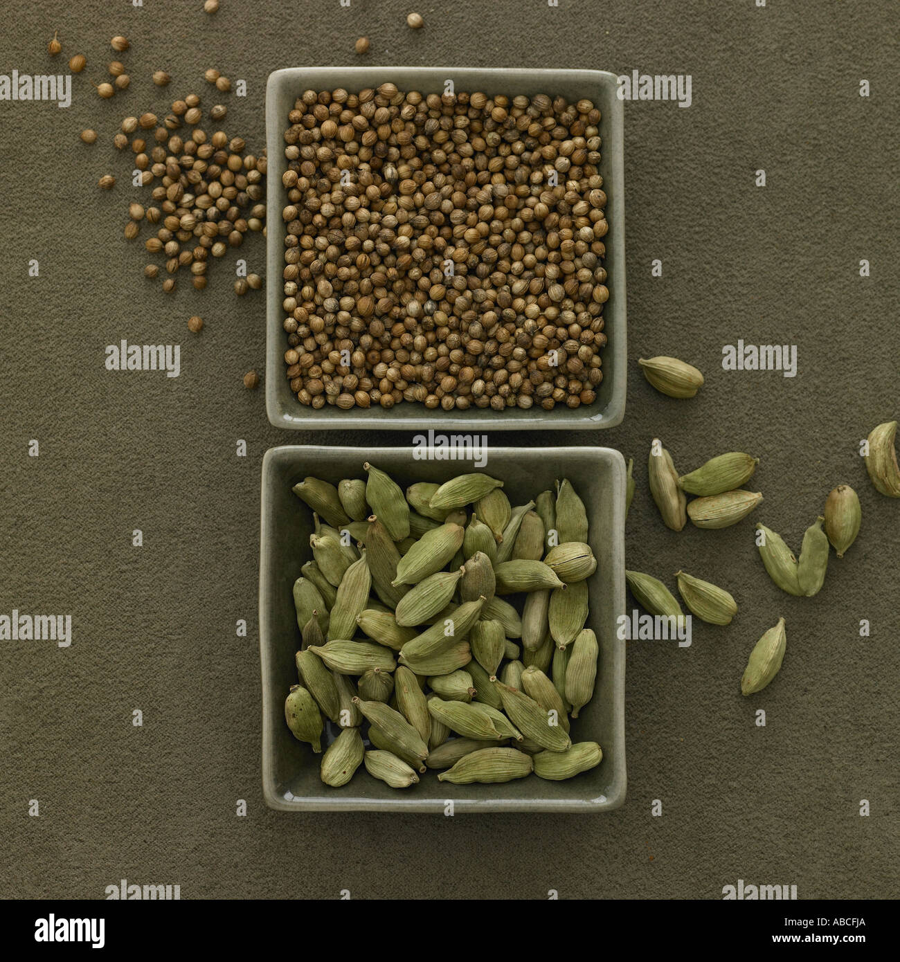 Coriander seeds and cardamom pods Stock Photo Alamy