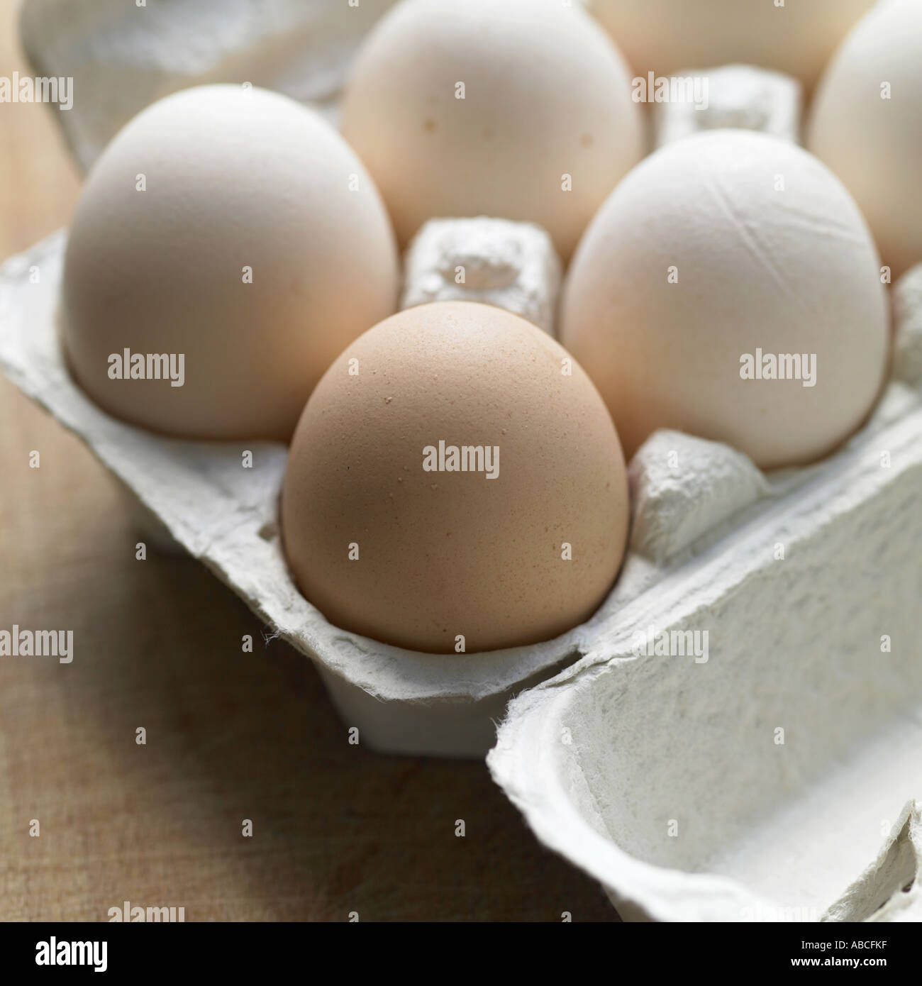 Eggs shot with Hasselblad medium format digital Stock Photo