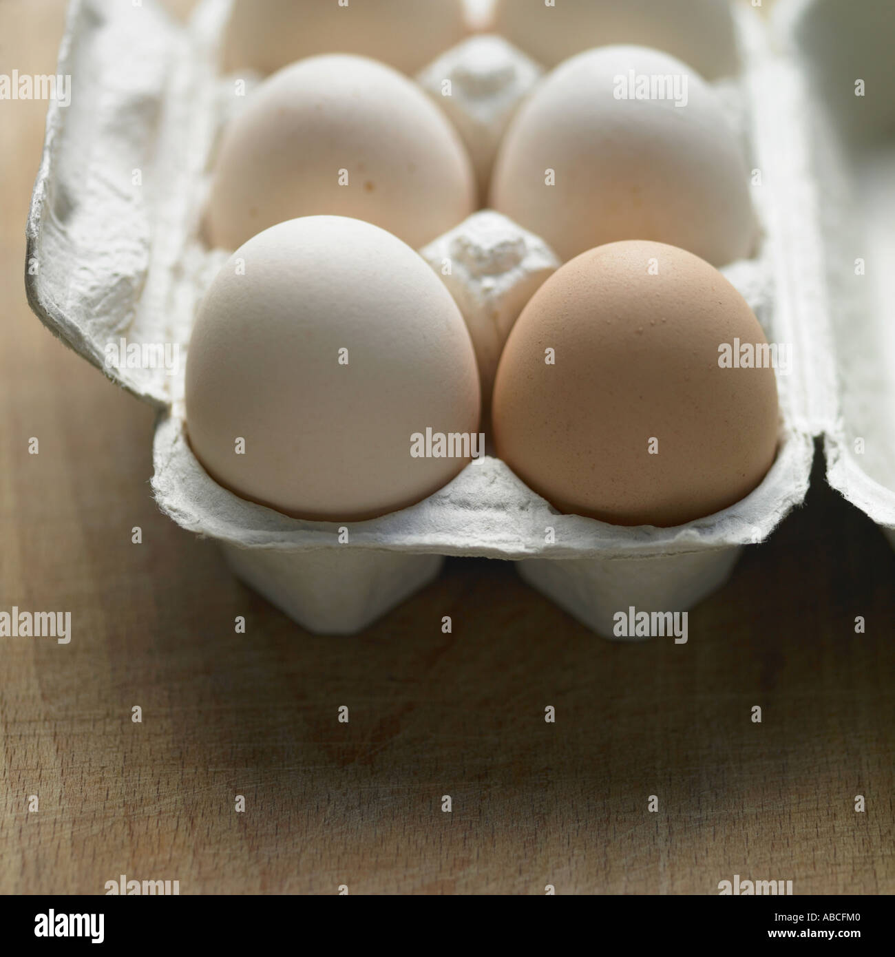 Eggs shot with Hasselblad medium format digital Stock Photo
