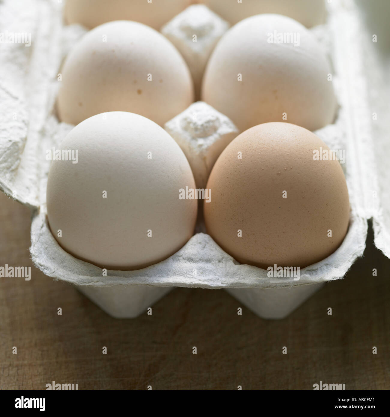 Eggs shot with Hasselblad medium format digital Stock Photo