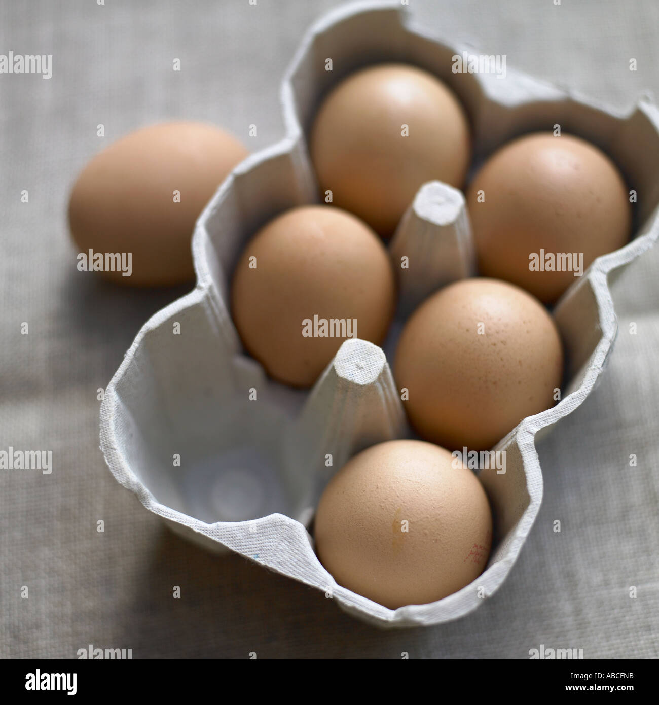 Eggs shot with Hasselblad medium format digital Stock Photo