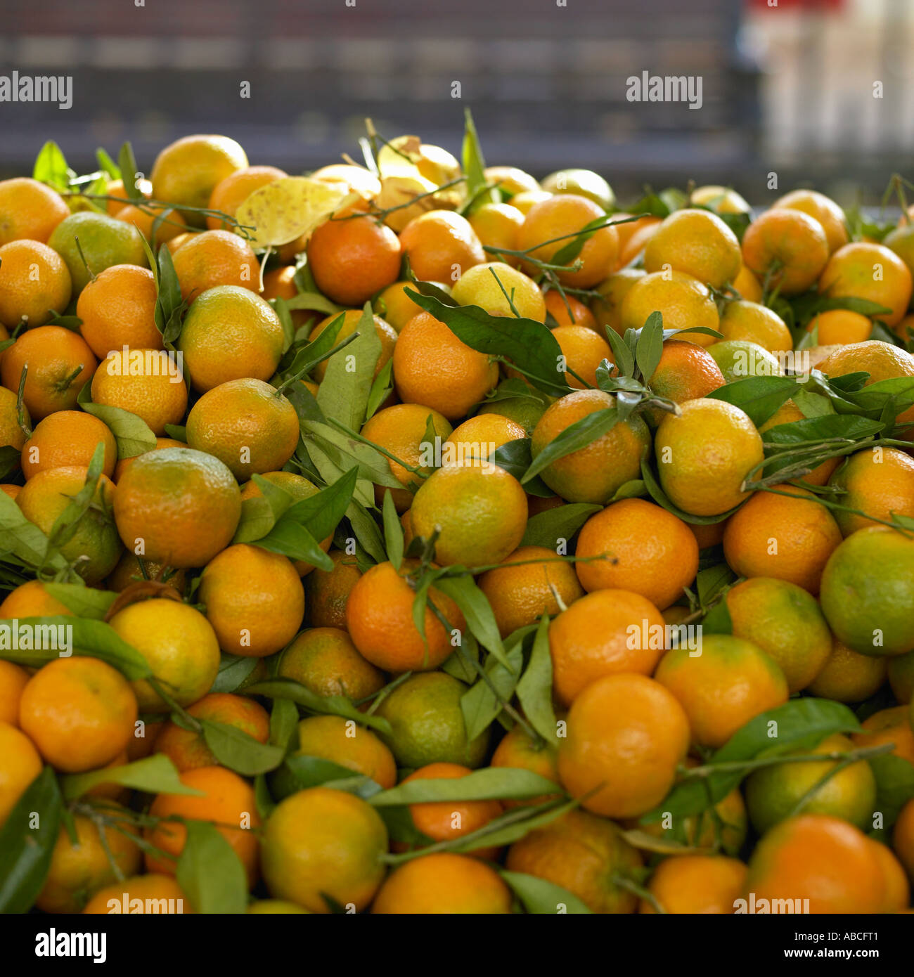 Oranges on market stall Stock Photo