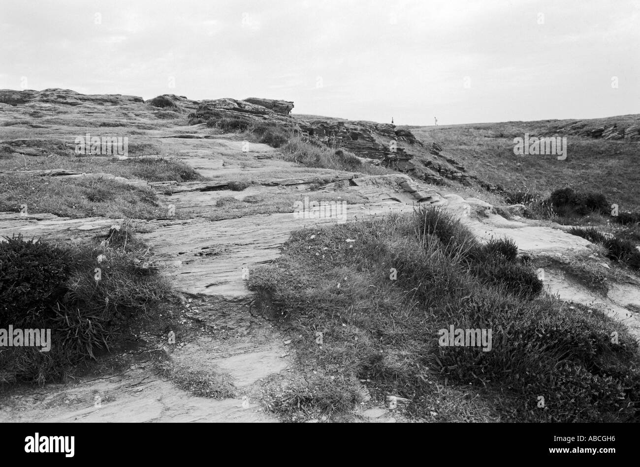 Tintagel Head North Cornwall uk Stock Photo