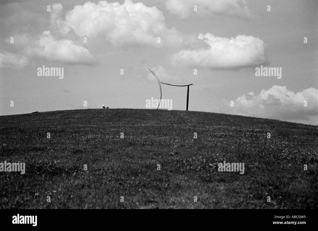 Sculpture at the National Botanical Gardens Camarthen Wales UK Stock