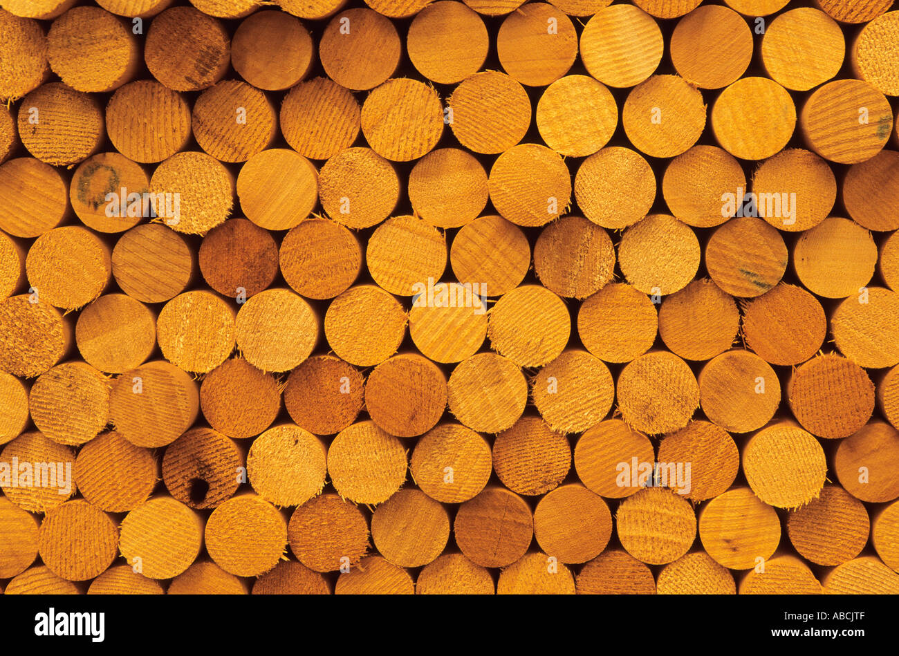 Detail of the circular ends of curtain rails made from timber from the rainforest, Republic of Congo Stock Photo