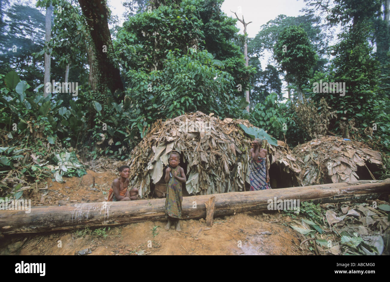 A pygmy camp in the rainforest with typical leaf shelters, Republic of