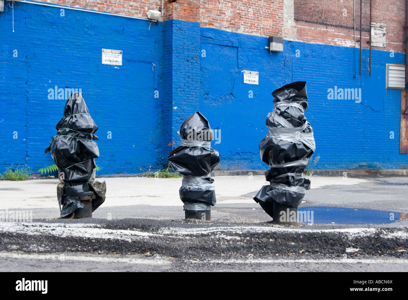 Three fire hydrants covered with black trash bags in Boston, Massachusetts Stock Photo