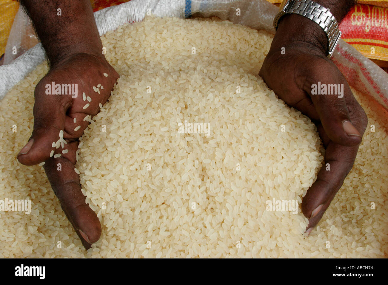 Hands In Rice Kumily Kerala India Stock Photo Alamy