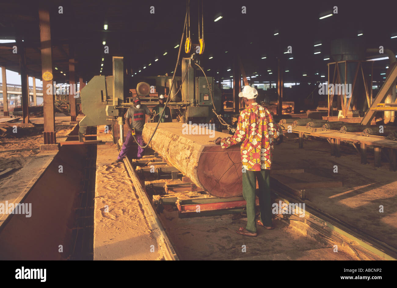 Rainforest sawmill where African mahogany is processed into planks, the Republic of Congo Stock Photo