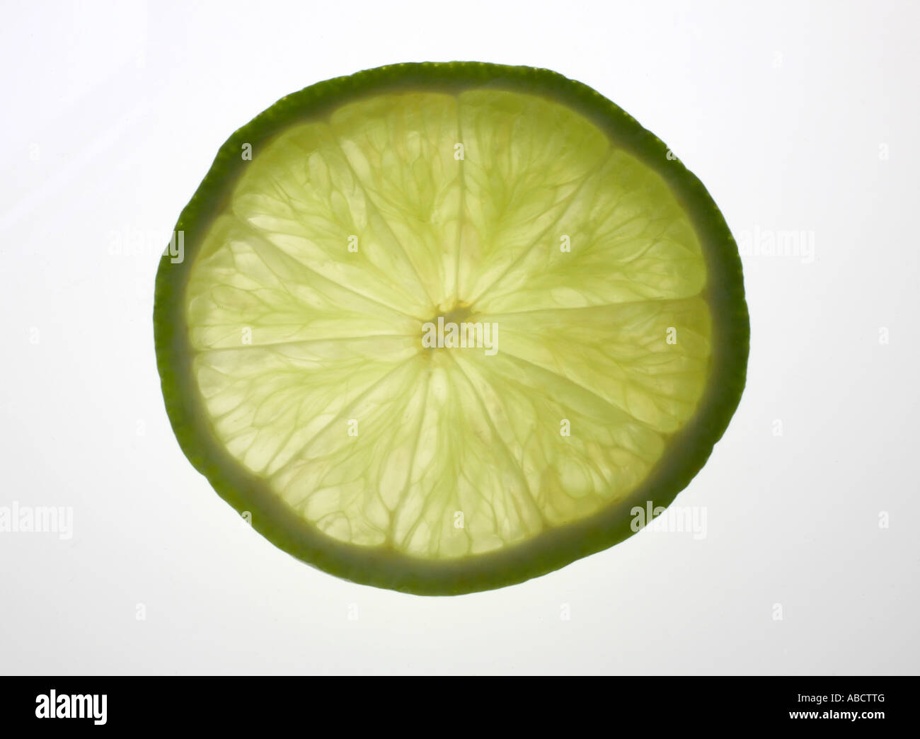 Slice of Lime Stock Photo