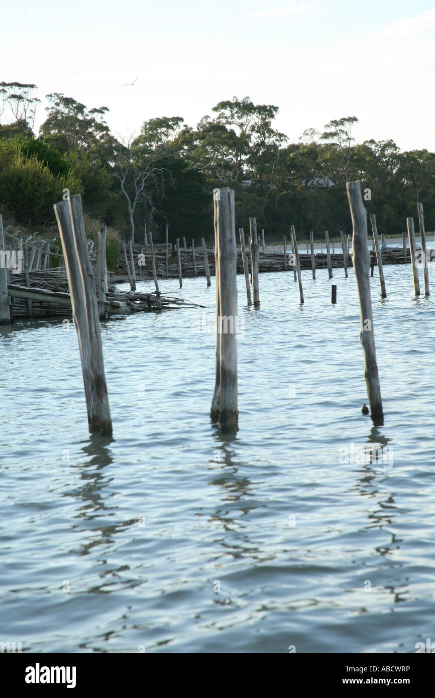 Moorings at Lewisham beach, Tasmania, Australia Stock Photo Alamy