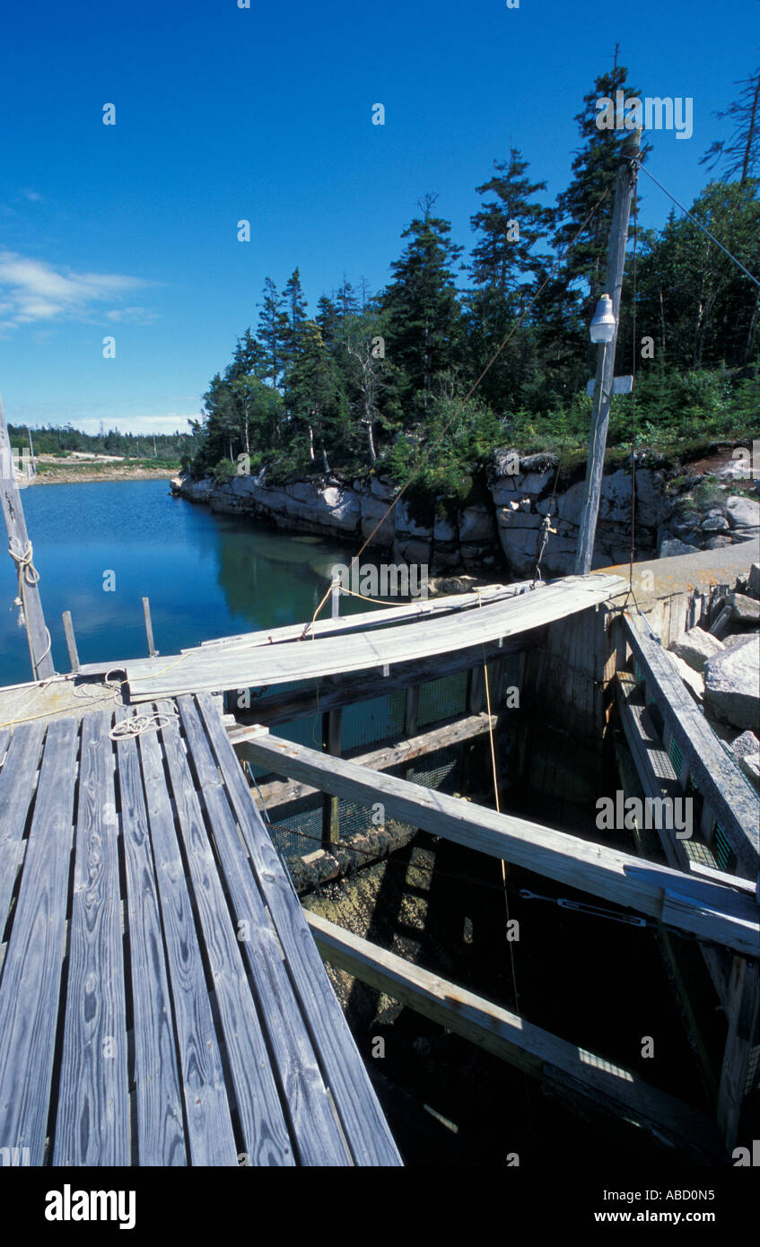 Great Wass High Resolution Stock Photography and Images Alamy