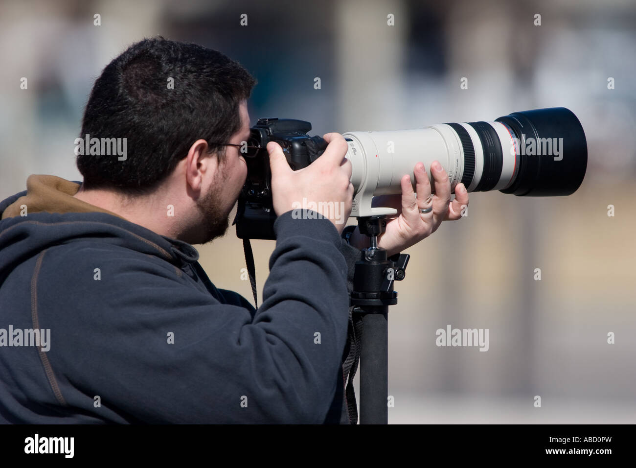 A photographer holds up a Canon 100-400L telephoto lens on an EOS 20D camera. Stock Photo