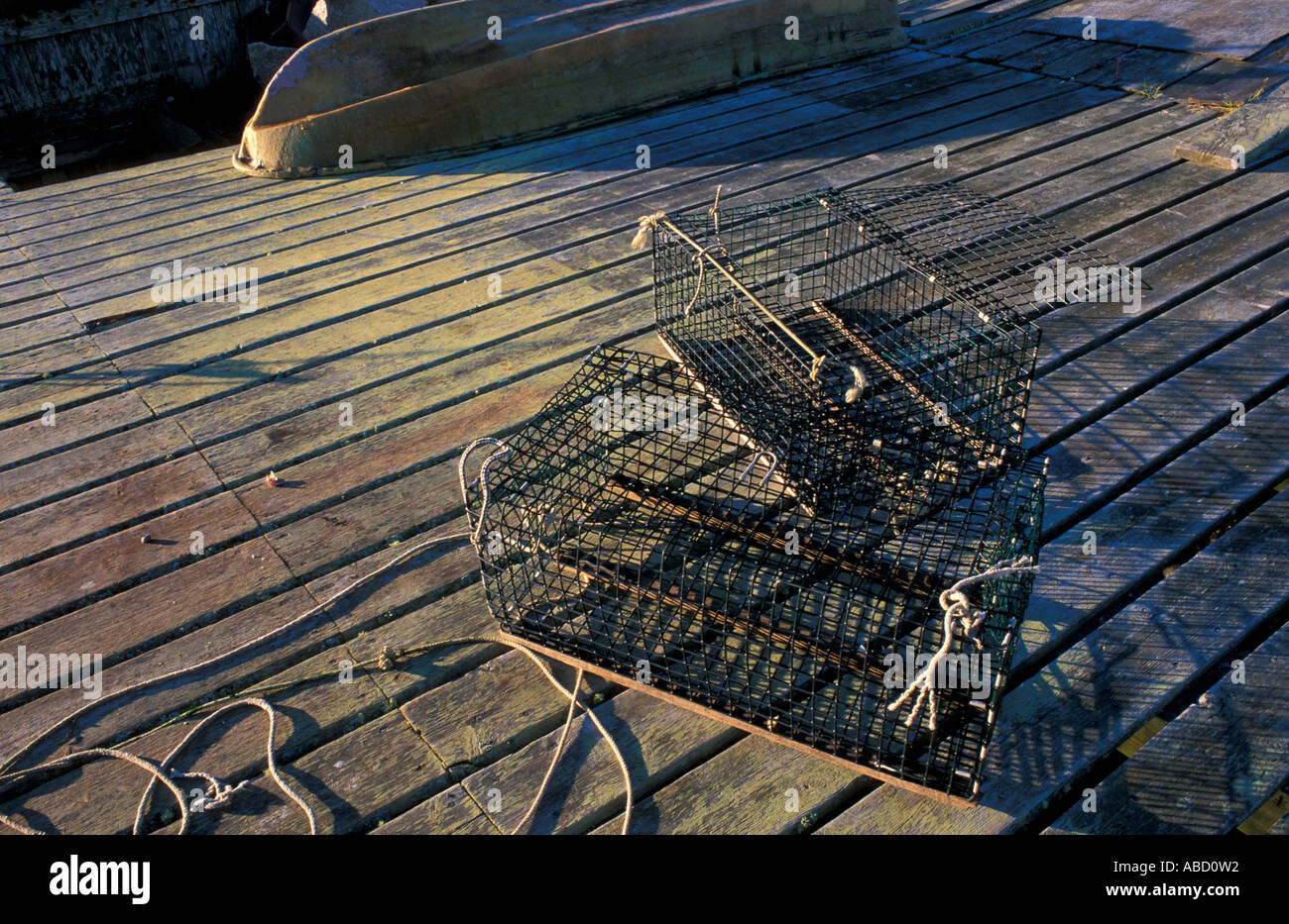 Lobster traps in Black Duck Cove on the coast of Great Wass Island in