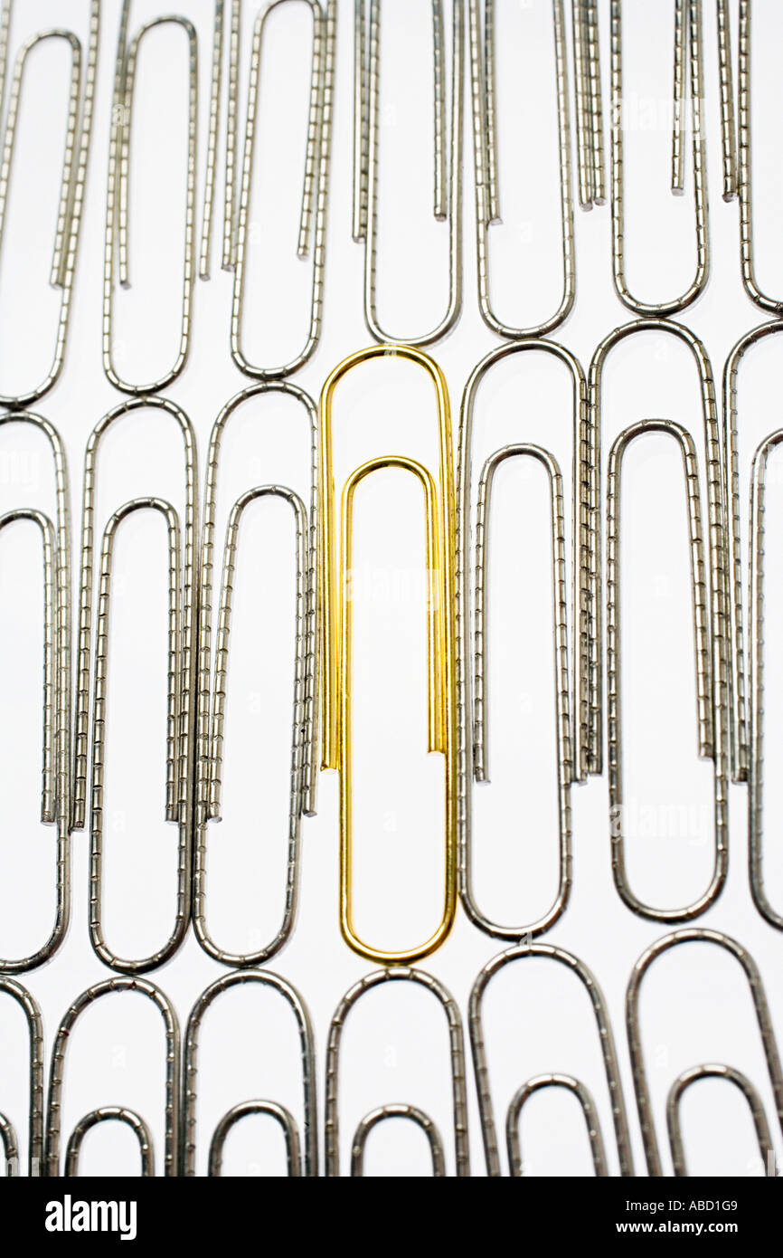 Golden paperclip amongst silver paperclips Stock Photo - Alamy