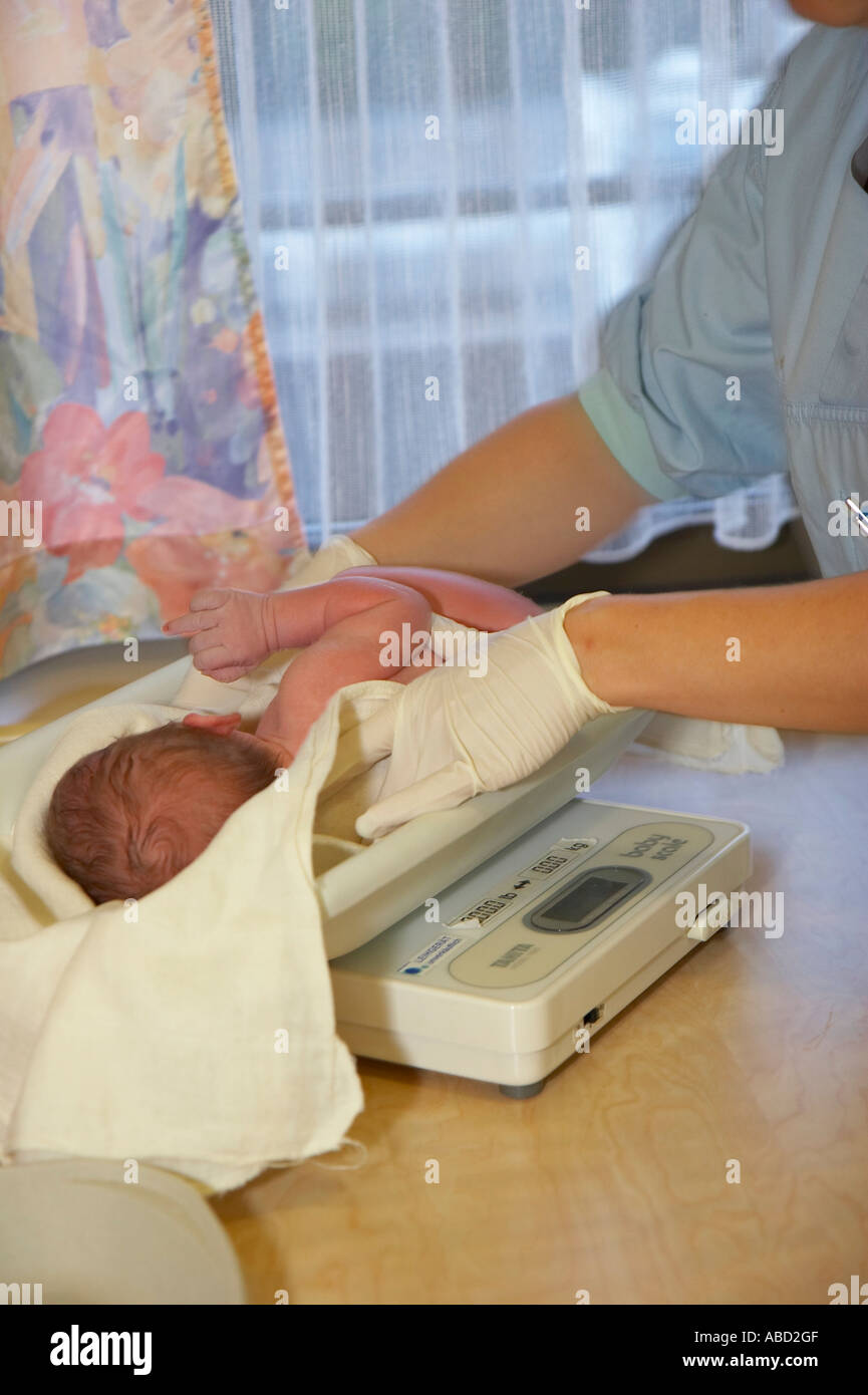 new born baby being weighed Stock Photo Alamy