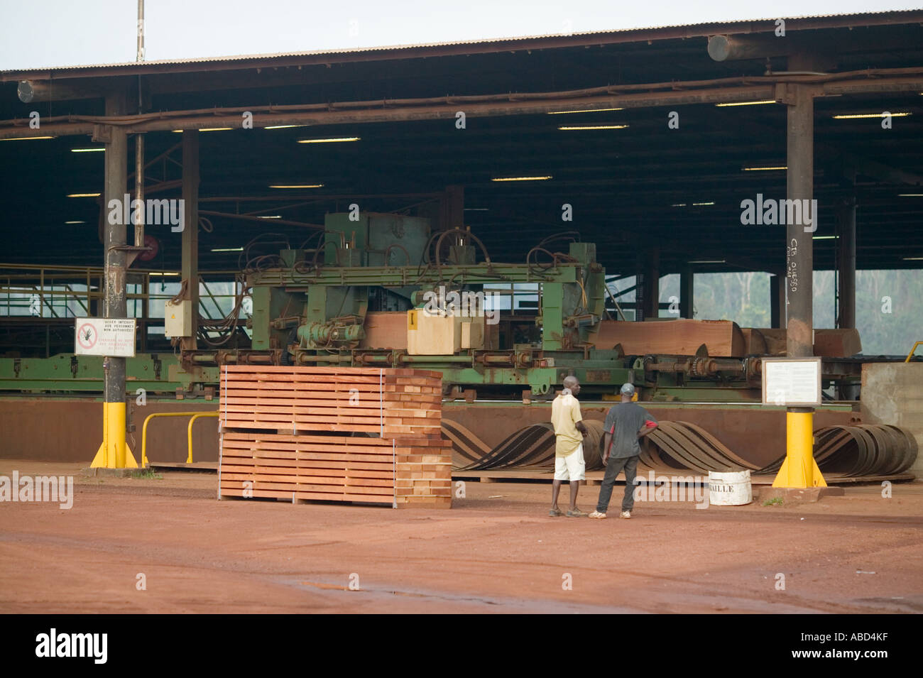 African Tropical Hardwood Being Processed Into Planks And Other african-tropical-hardwood-being-processed-into-planks-and-other