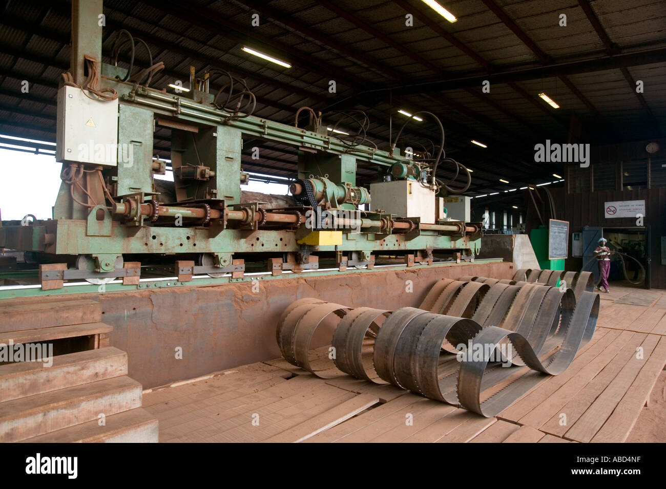 Bandsaw blades at African tropical hardwood sawmill, the Republic of