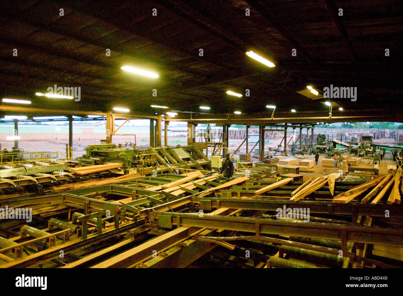 African mahogany (Sapele) being prepared in a sawmill Republic of Congo Stock Photo