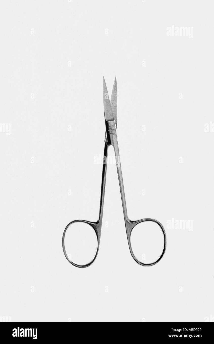 Pair of scissors Stock Photo Alamy