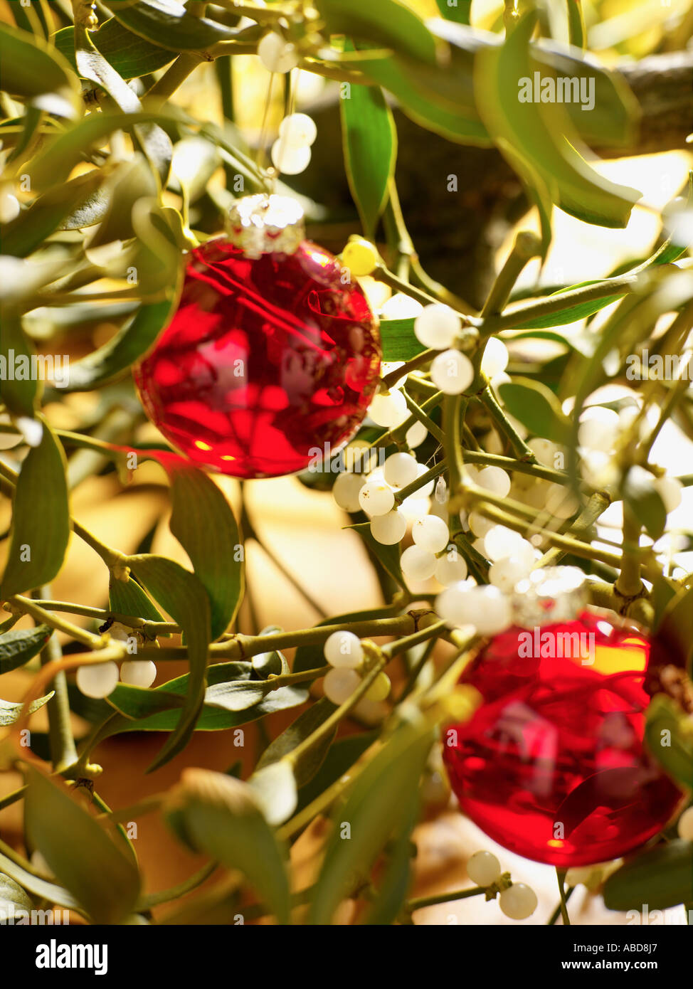 Mistletoe and christmas bauble Stock Photo